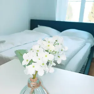  Apartment Deluxe Double Kp